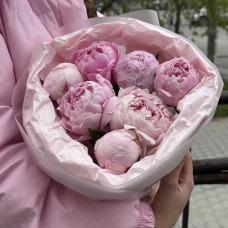Букет из 7 пионов Сара