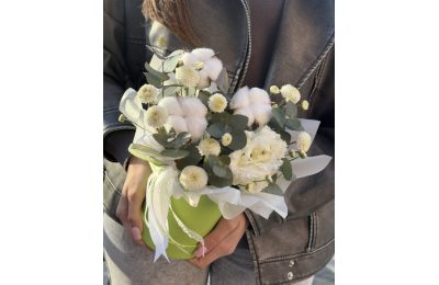 Стойкие сортовые диантусы