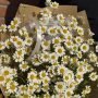 Букет полевых ромашек в крафте